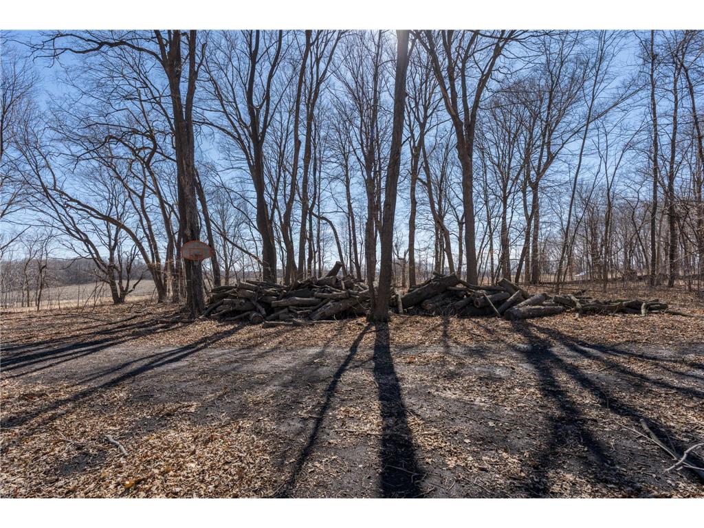 33964 137th Lane Montgomery MN 56069 7070858 image13