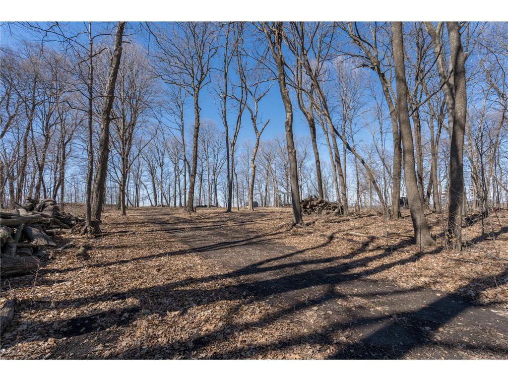 33964 137th Lane Montgomery MN 56069 7070858 image6