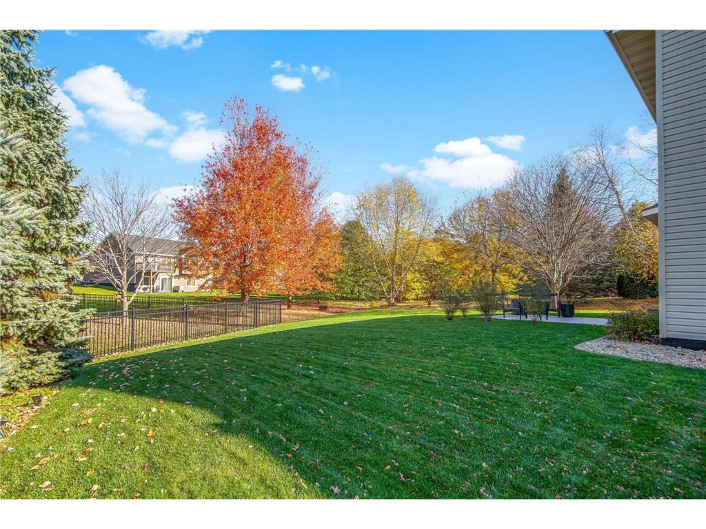 3397 Mulberry Alcove Woodbury MN 55129 7046195 image42