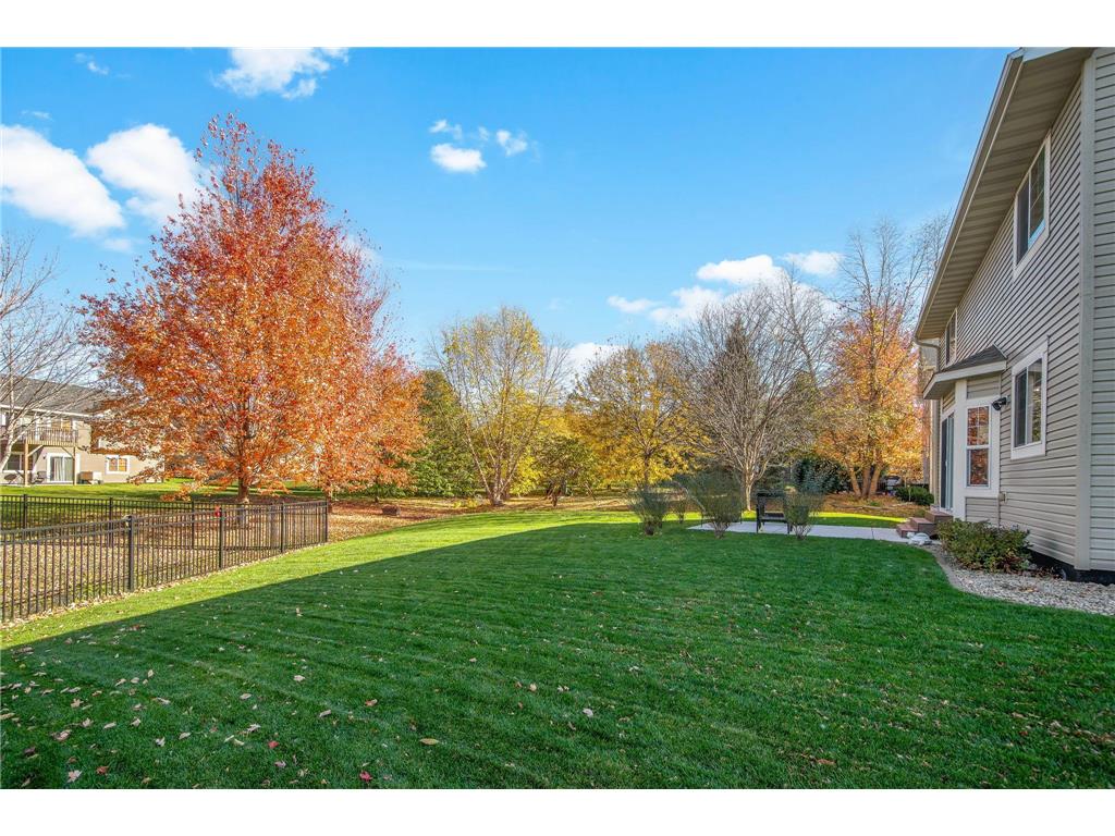 3397 Mulberry Alcove Woodbury MN 55129 7046195 image43