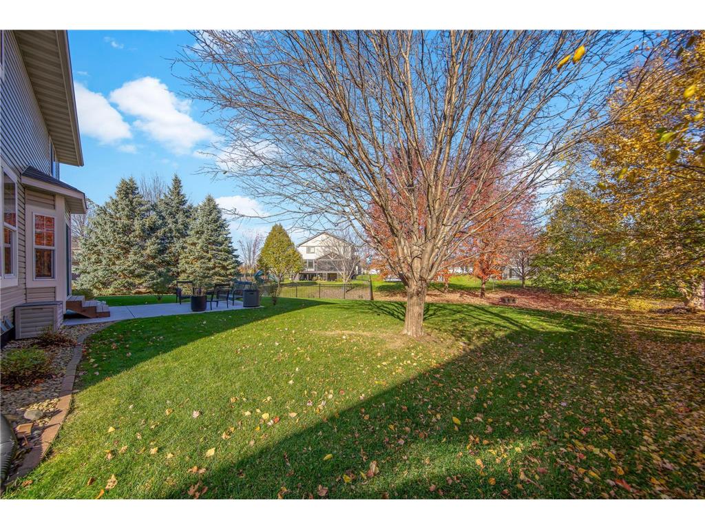 3397 Mulberry Alcove Woodbury MN 55129 7046195 image47