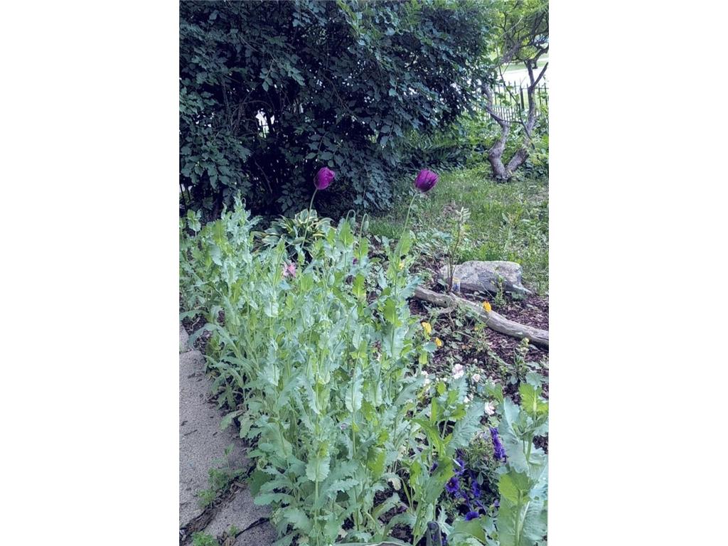 34 S Terrace N Fargo ND 58102 7007209 image52