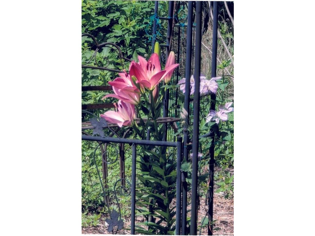 34 S Terrace N Fargo ND 58102 7007209 image57