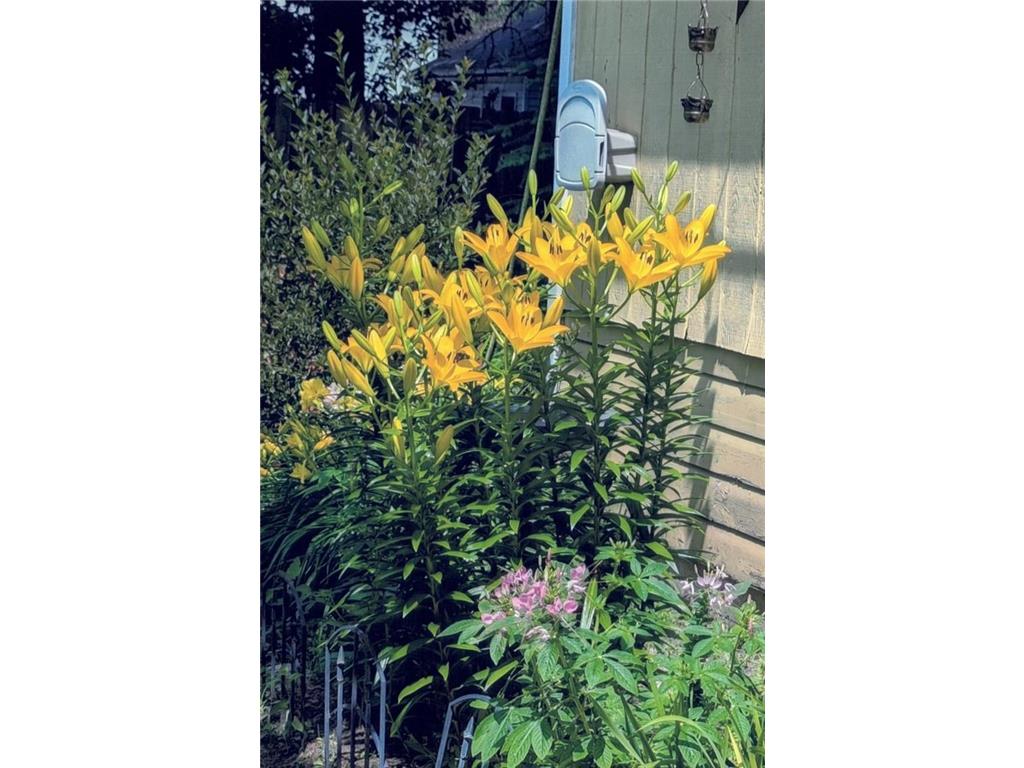 34 S Terrace N Fargo ND 58102 7007209 image59