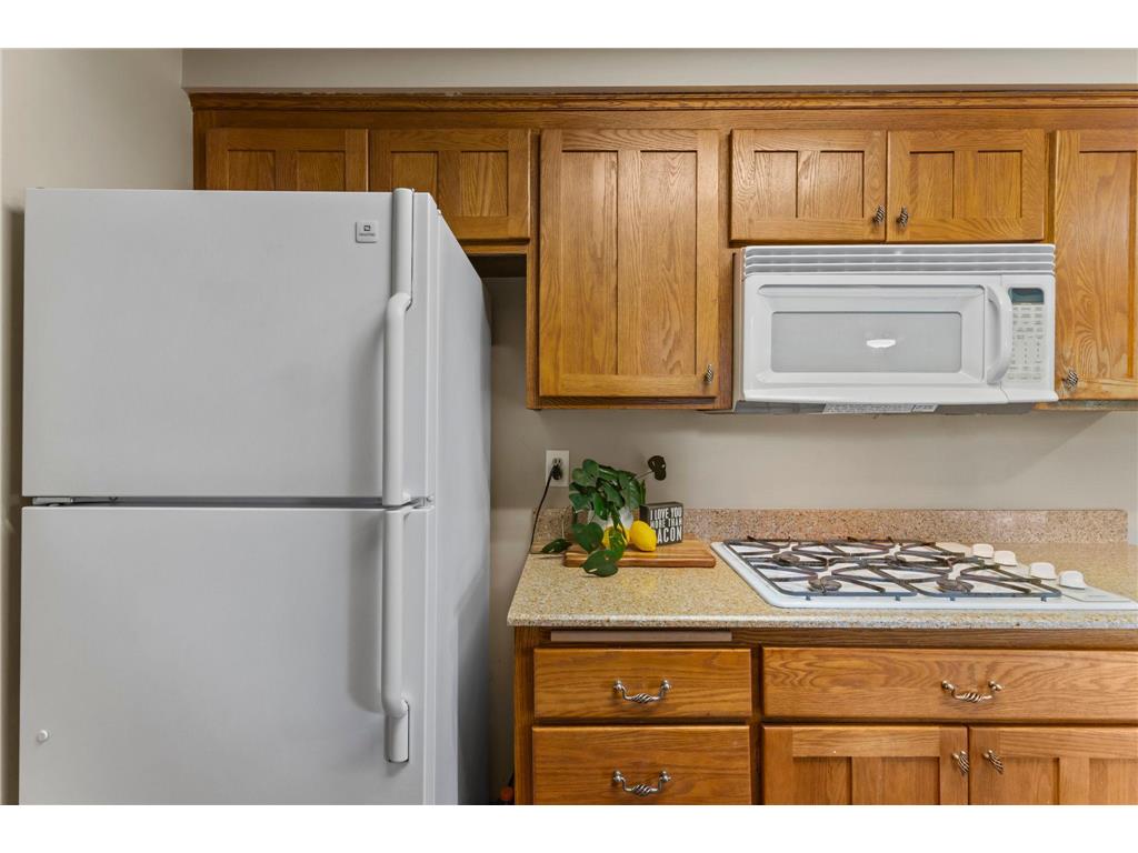 340 109th Lane NW Coon Rapids MN 55448 7101685 image16