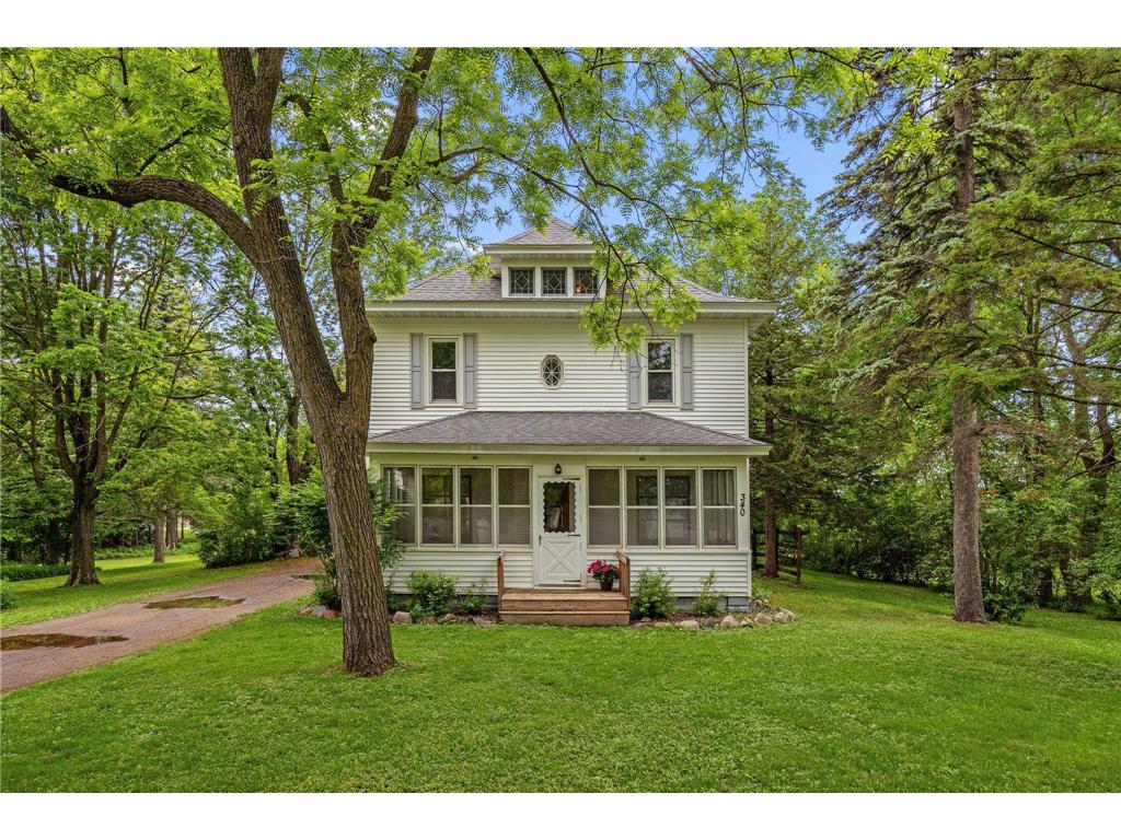 340 Excelsior Avenue N Annandale MN 55302 - Pleasant Lake 7083486 image2