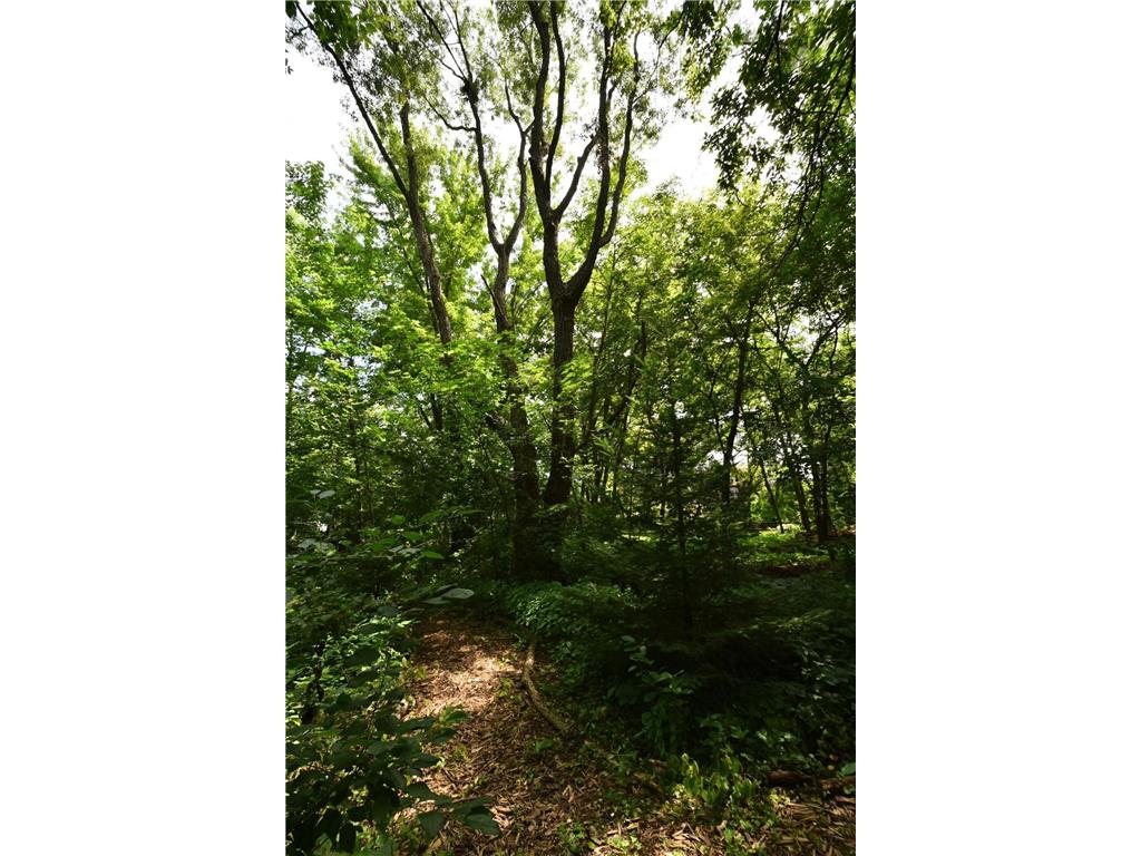 340 Perry Court Zumbrota MN 55992 7049577 image12