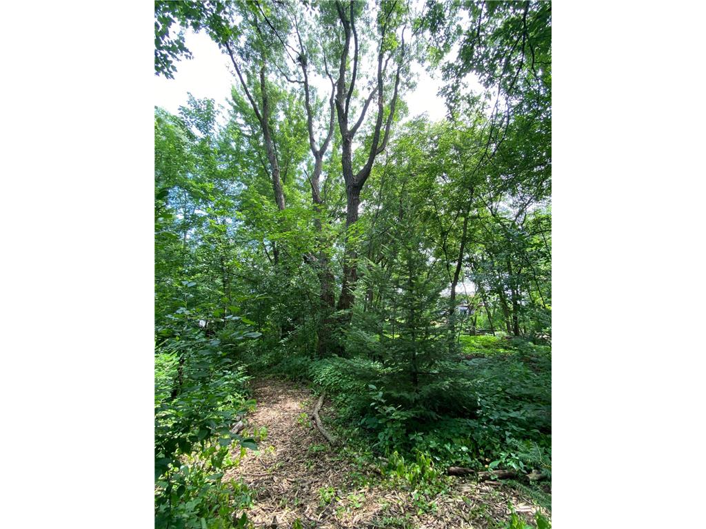 340 Perry Court Zumbrota MN 55992 7049577 image61