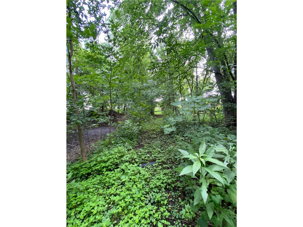 340 Perry Court Zumbrota MN 55992 7049577 image63