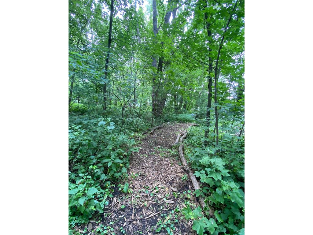 340 Perry Court Zumbrota MN 55992 7049577 image64