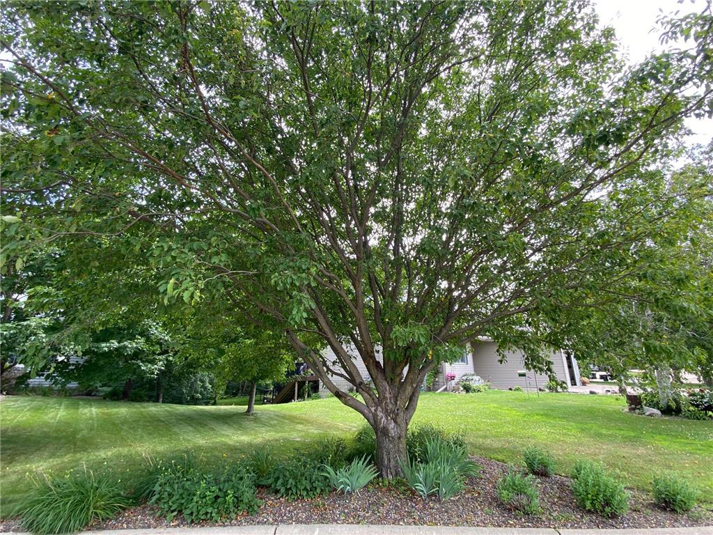 340 Perry Court Zumbrota MN 55992 7049577 image71