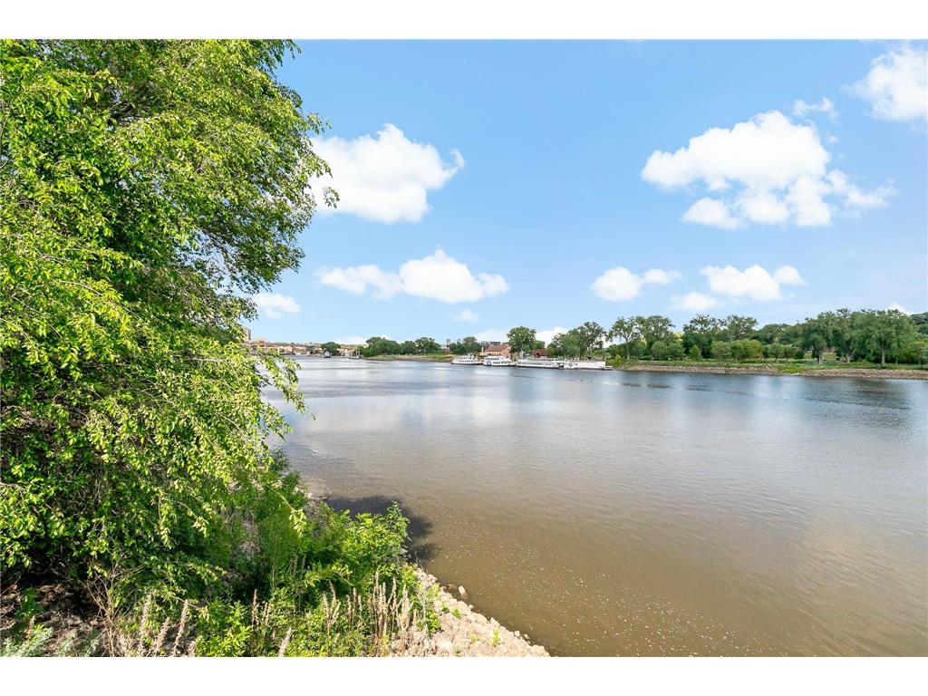 340 Spring Street Saint Paul MN 55102 7095028 image30