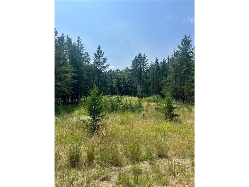 34007 Twin Oaks Loop Motley MN 56466 6574793 image1