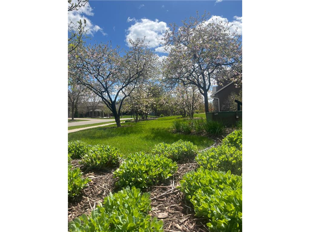 3406 Hazel Trail #D Woodbury MN 55129 7051608 image31