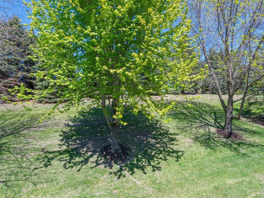 3406 Spring Glen Circle NW Prior Lake MN 55372 7070486 image15
