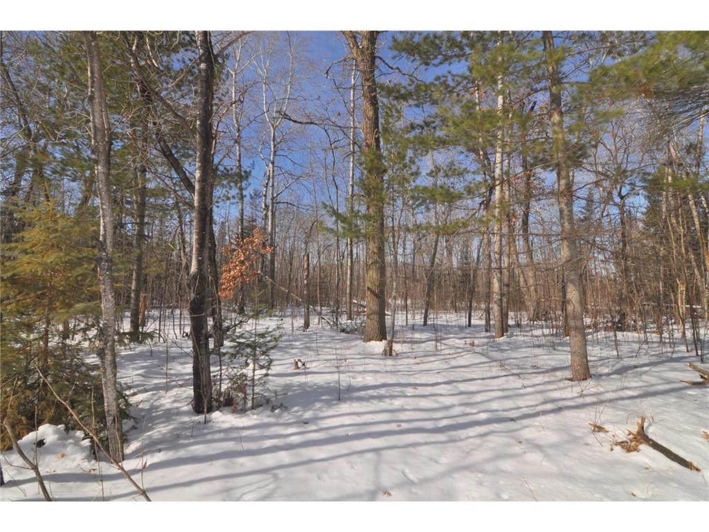 34084 County 39 Lakeport Twp MN 56461 - Kabekona River 7028384 image13