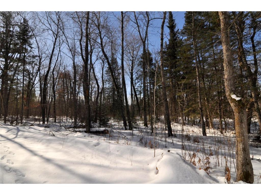 34084 County 39 Lakeport Twp MN 56461 - Kabekona River 7028384 image17