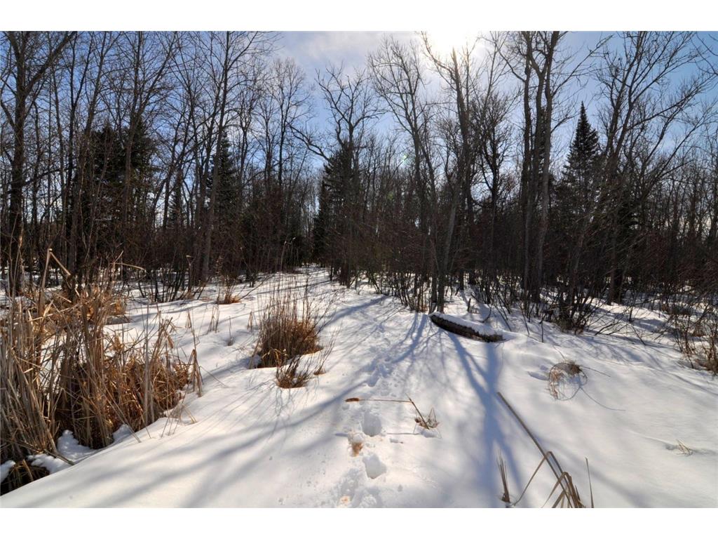 34084 County 39 Lakeport Twp MN 56461 - Kabekona River 7028384 image26