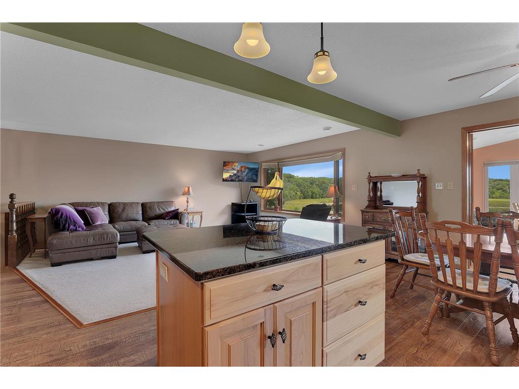 34092 Tower Road Albany MN 56307 6780898 image14