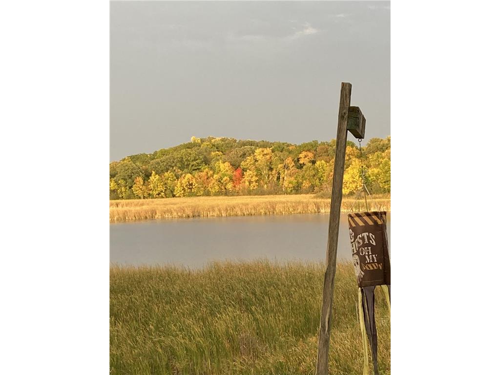 34092 Tower Road Albany MN 56307 6780898 image2