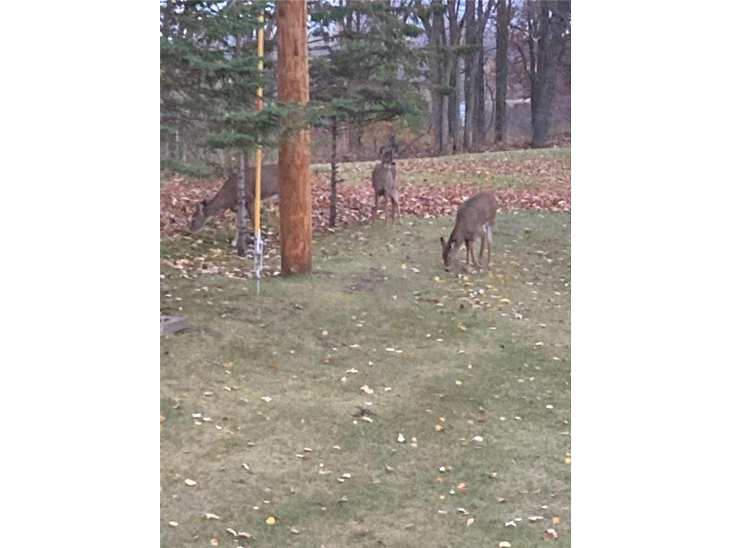 34092 Tower Road Albany MN 56307 6780898 image28