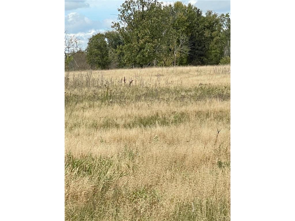 34101 83rd Avenue Saint Wendel Twp MN 56374 6679596 image2