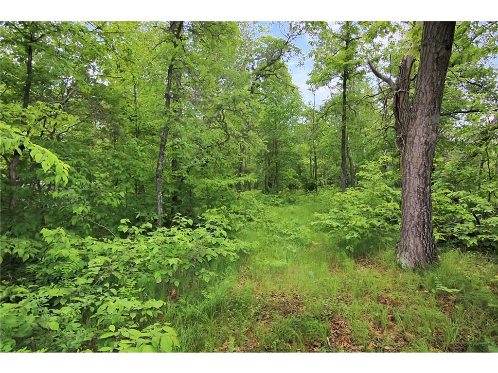 3411 Crow Wing River Drive SW, Pillager, MN, 56473 MLS 6559283