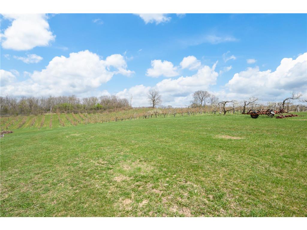 3415 College View Road E Haverhill Twp MN 55904 6711840 image22