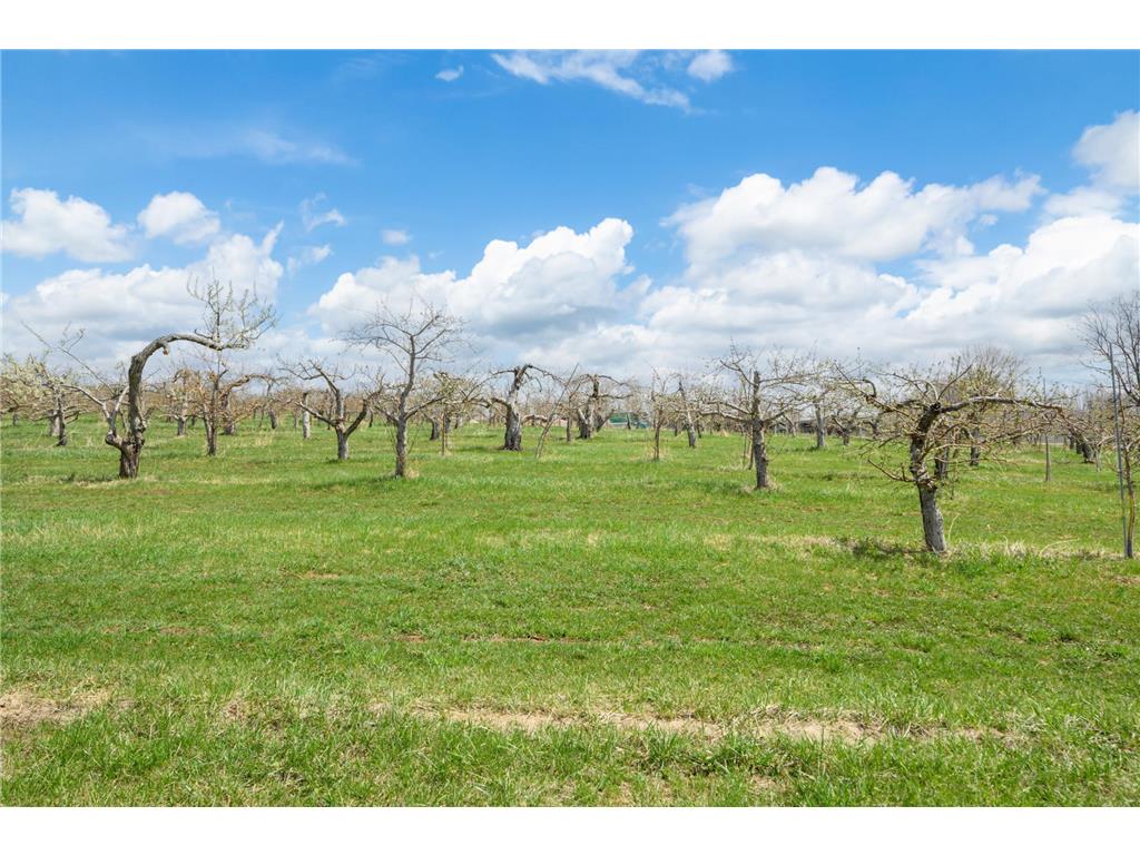 3415 College View Road E Haverhill Twp MN 55904 6711840 image23