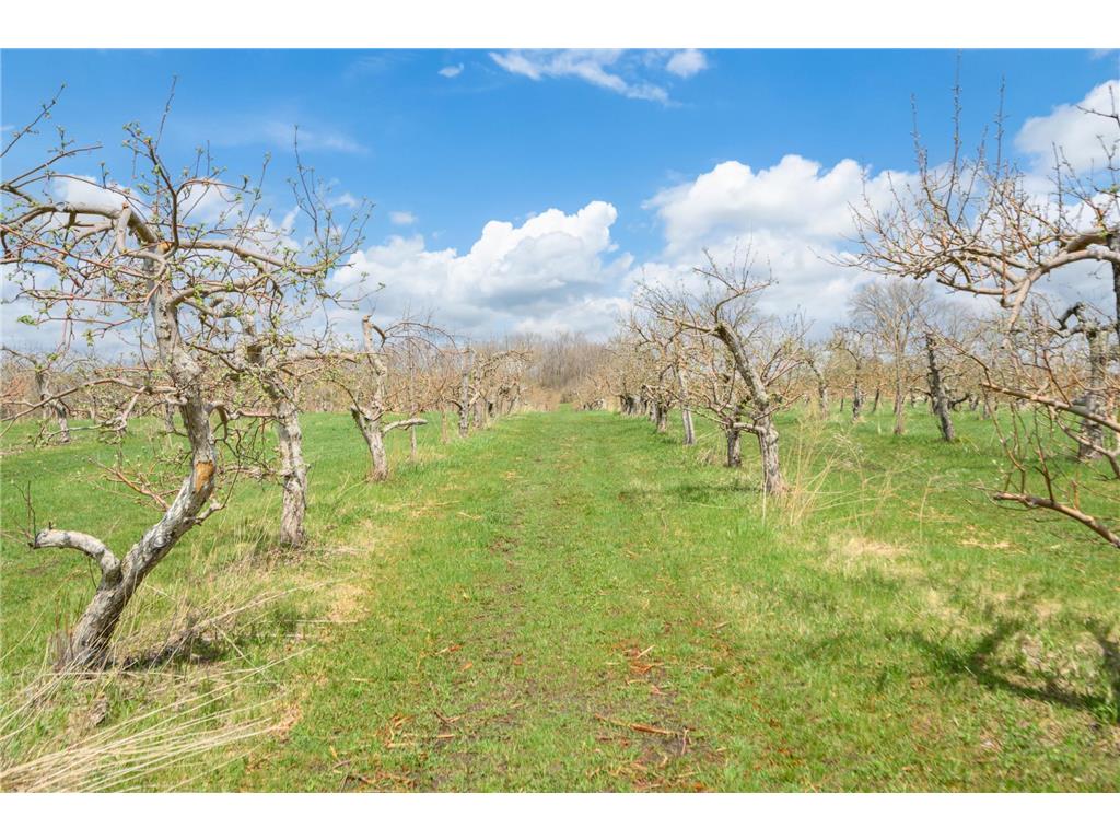 3415 College View Road E Haverhill Twp MN 55904 6711840 image25