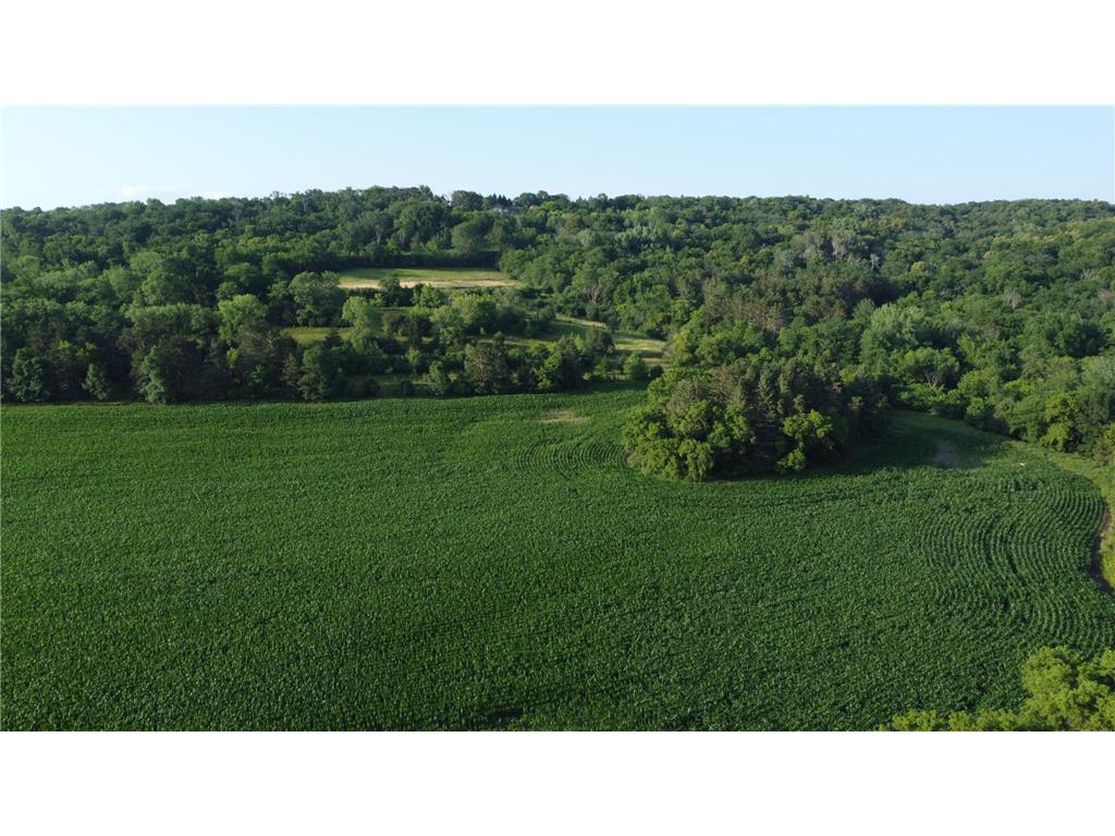 341xx Highway 52 Boulevard Leon Twp MN 55009 6541903 image1