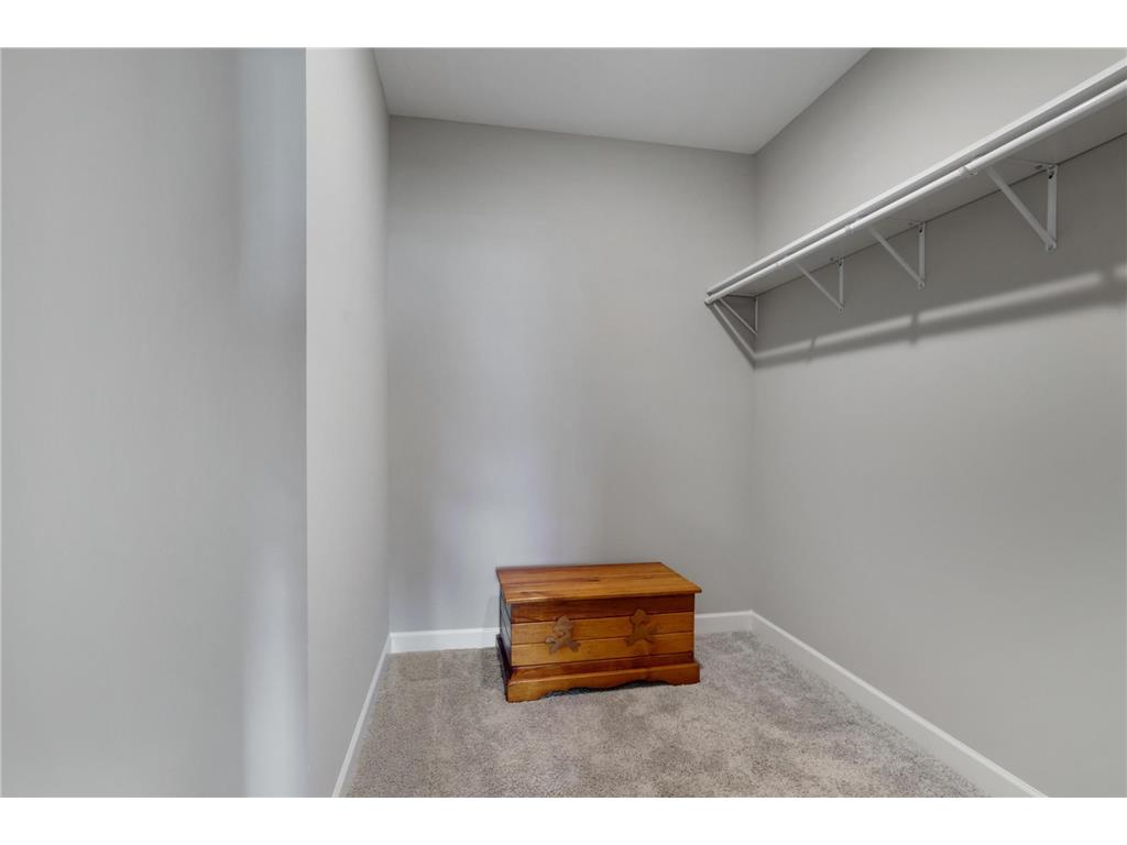 342 Emmy Lane Hanover MN 55341 7085643 image25