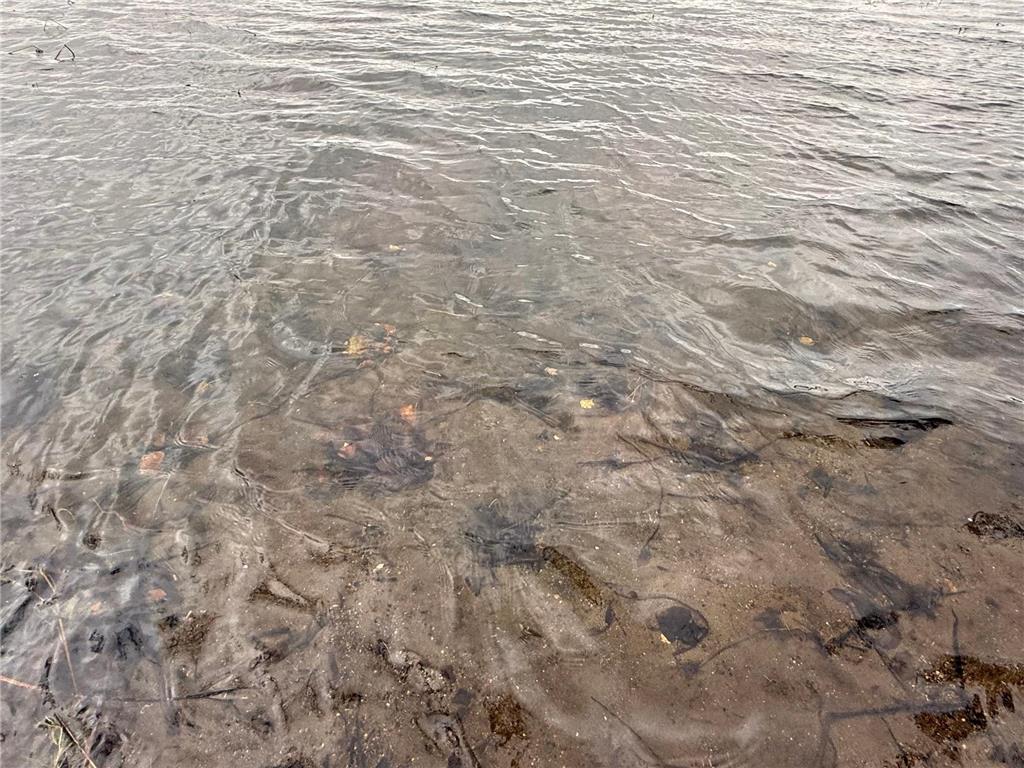 34235 County Road 9 Avon MN 56310 - Lower Spunk 6806903 image7