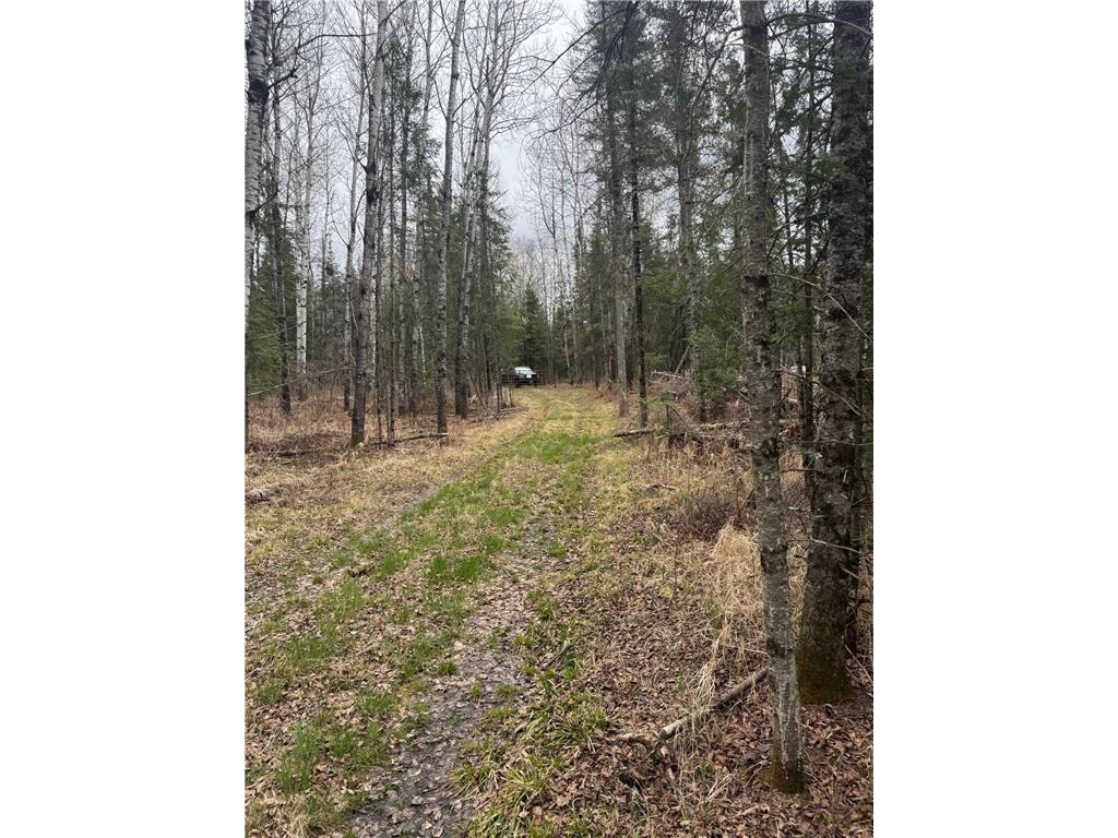 3426 Highway 53 Eveleth MN 55734 - St Louis River 7069450 image23