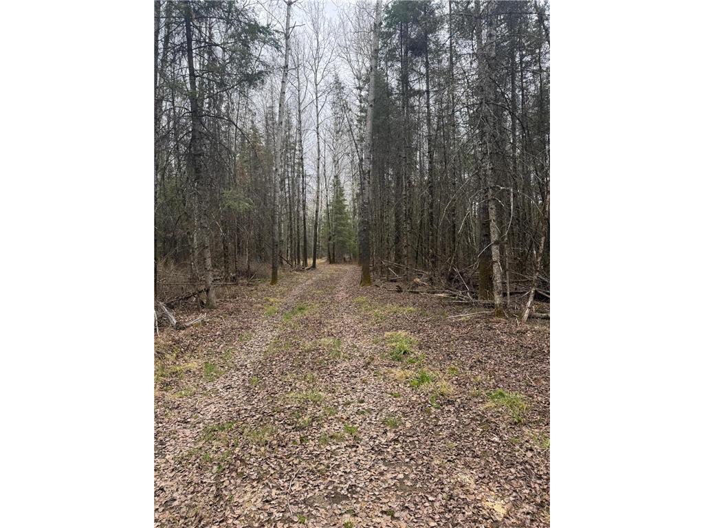 3426 Highway 53 Eveleth MN 55734 - St Louis River 7069450 image24