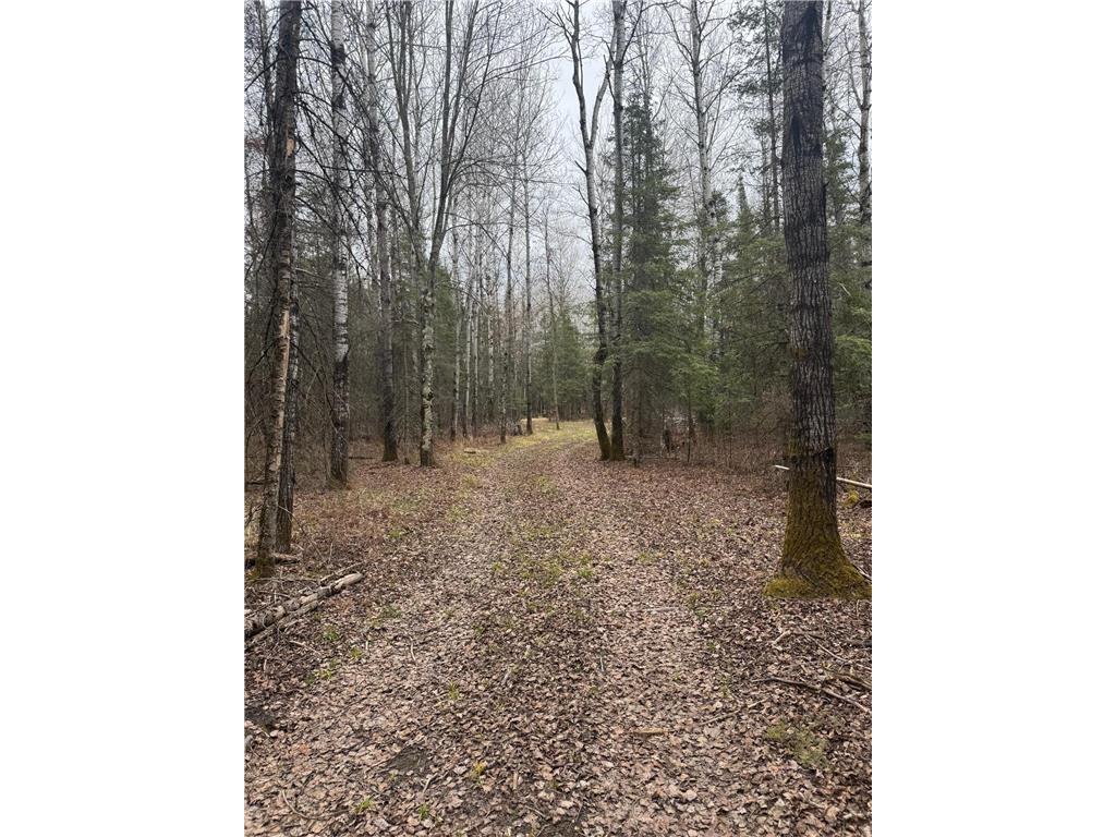 3426 Highway 53 Eveleth MN 55734 - St Louis River 7069450 image25