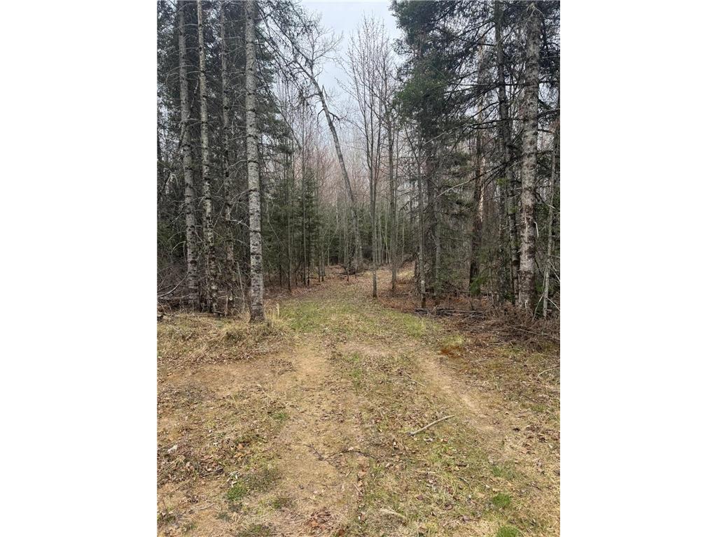 3426 Highway 53 Eveleth MN 55734 - St Louis River 7069450 image26