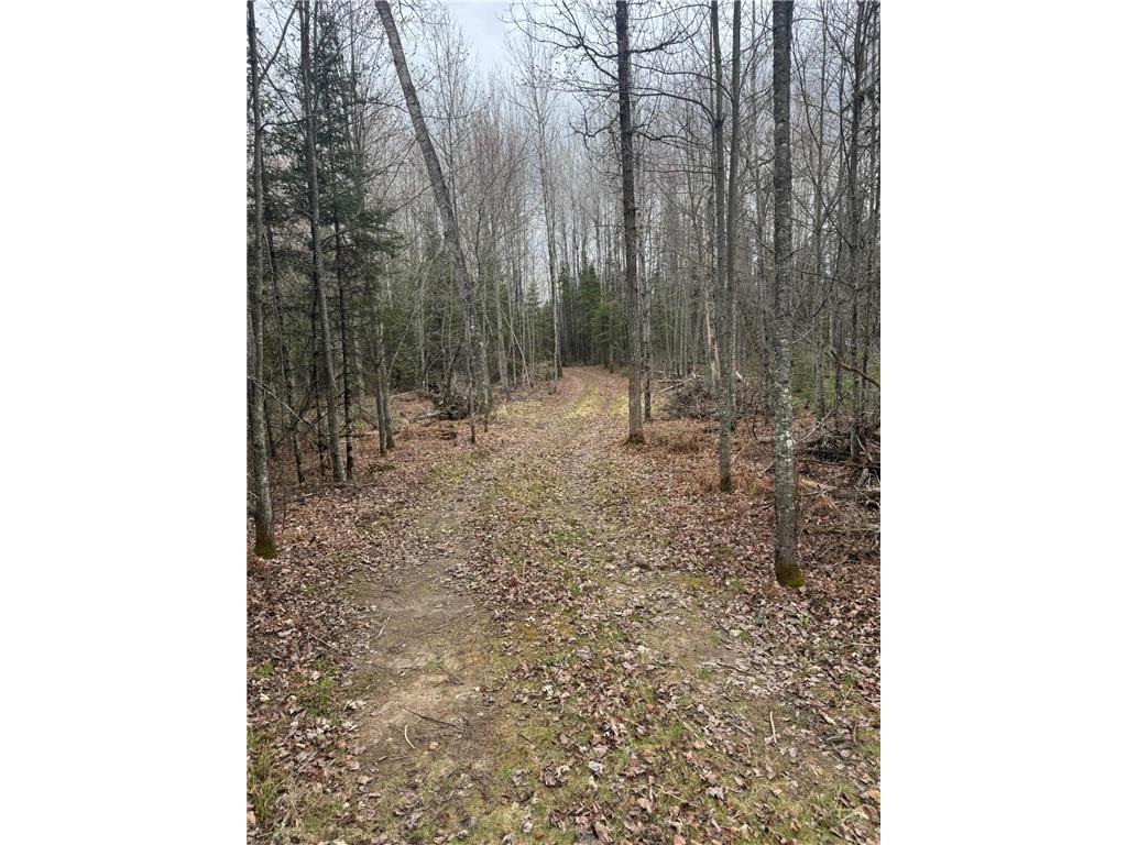 3426 Highway 53 Eveleth MN 55734 - St Louis River 7069450 image28