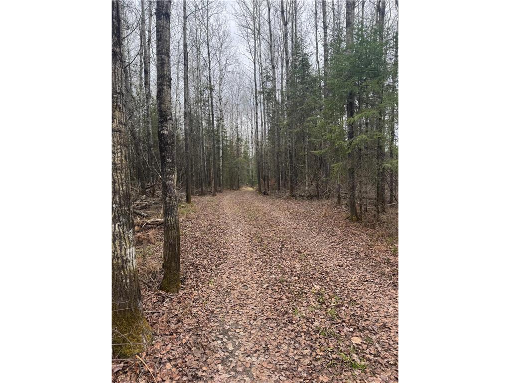 3426 Highway 53 Eveleth MN 55734 - St Louis River 7069450 image29
