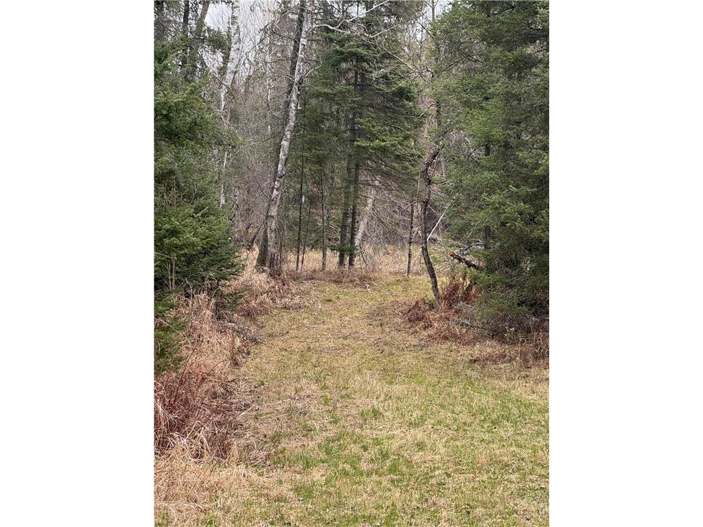3426 Highway 53 Eveleth MN 55734 - St Louis River 7069450 image31