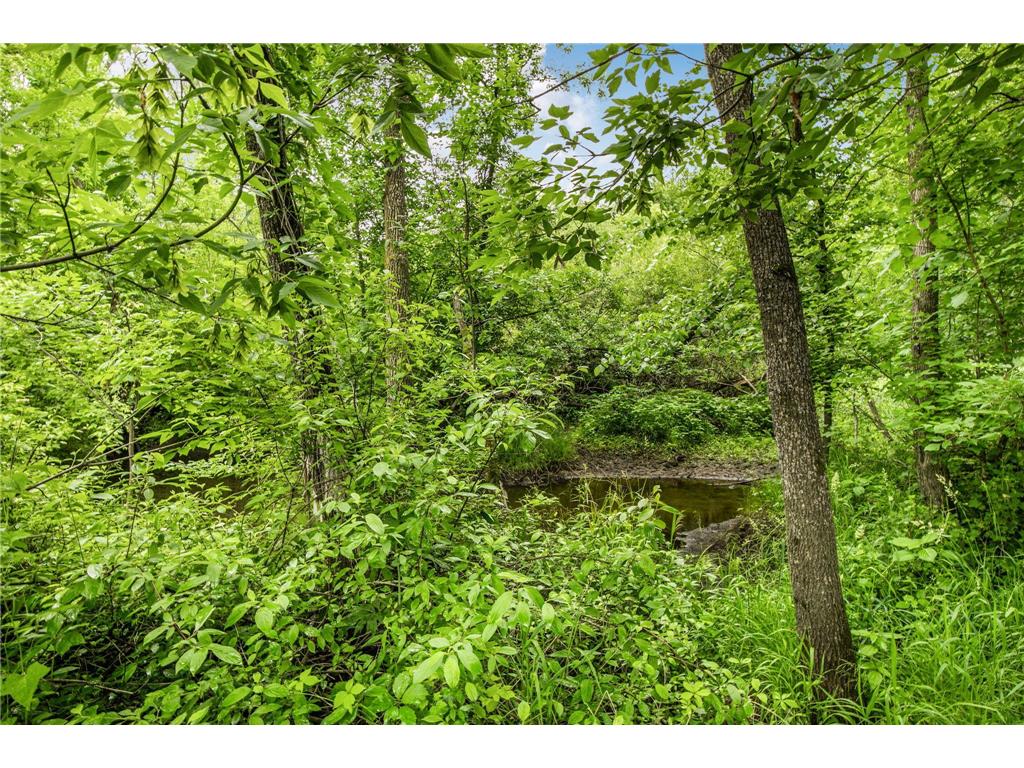 34293 County Road 4 Saint Wendel Twp MN 56374 7091650 image54