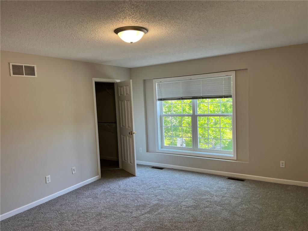 343 Wagon Wheel Lane Chaska MN 55318 7077101 image19