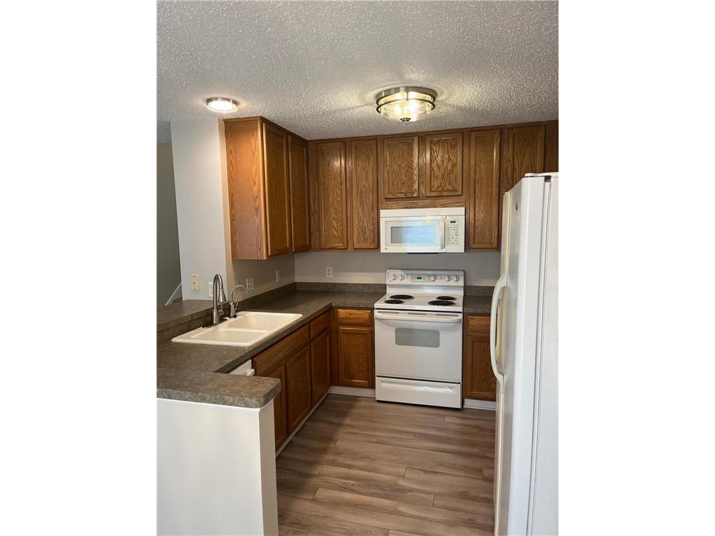 343 Wagon Wheel Lane Chaska MN 55318 7077101 image3