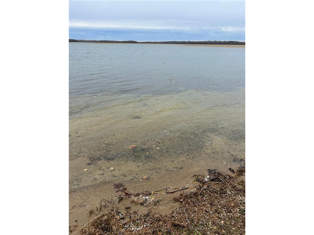 34307 Basswood Lake Road Ponsford MN 56575 - Big Basswood 6811986 image72