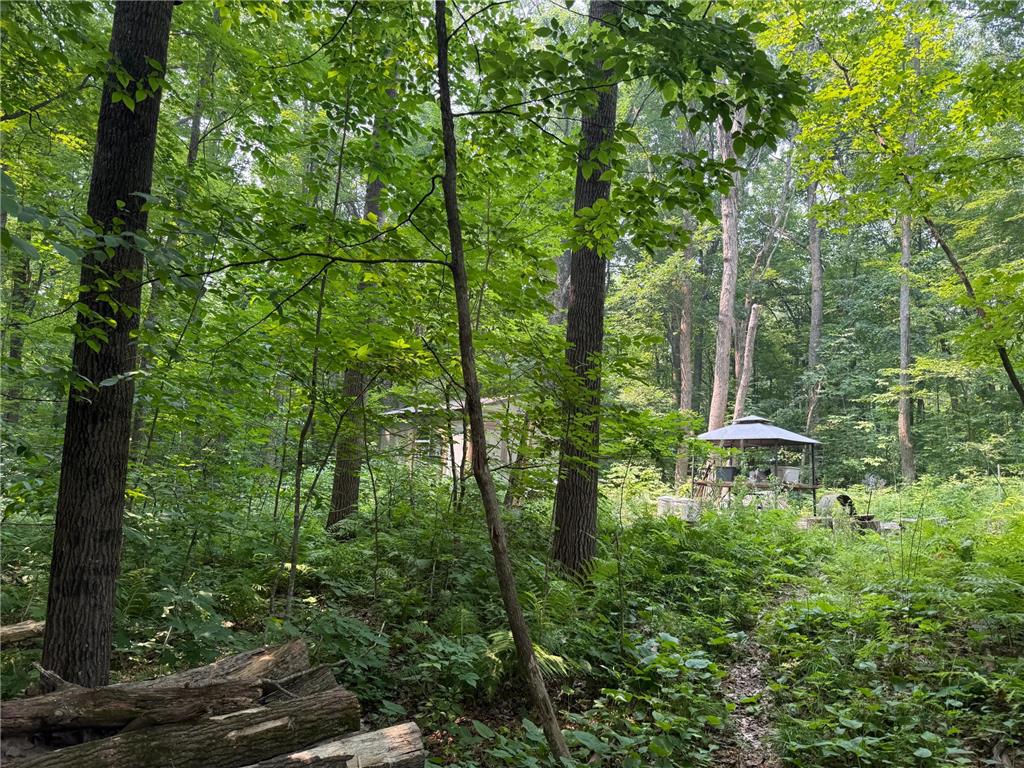3432 103rd Street Frederic WI 54837 - Knapp Flowage 7111626 image10