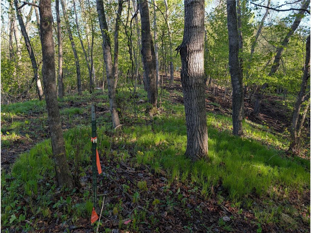 34344 405th Avenue Richville MN 56576 - Long Lake 7075160 image13
