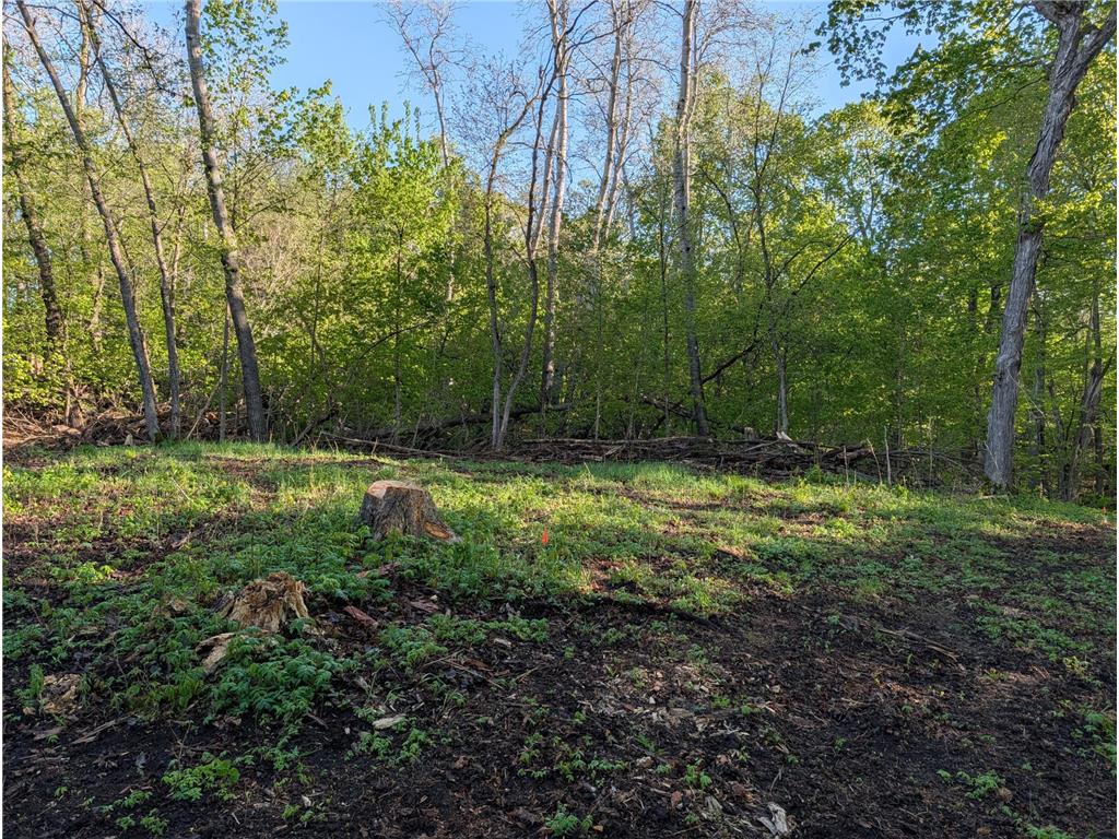 34344 405th Avenue Richville MN 56576 - Long Lake 7075160 image6