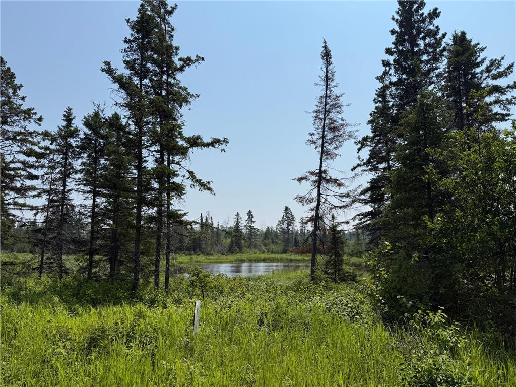 3437 Blueberry Hill Rd. Two Harbors MN 55616 6670887 image100