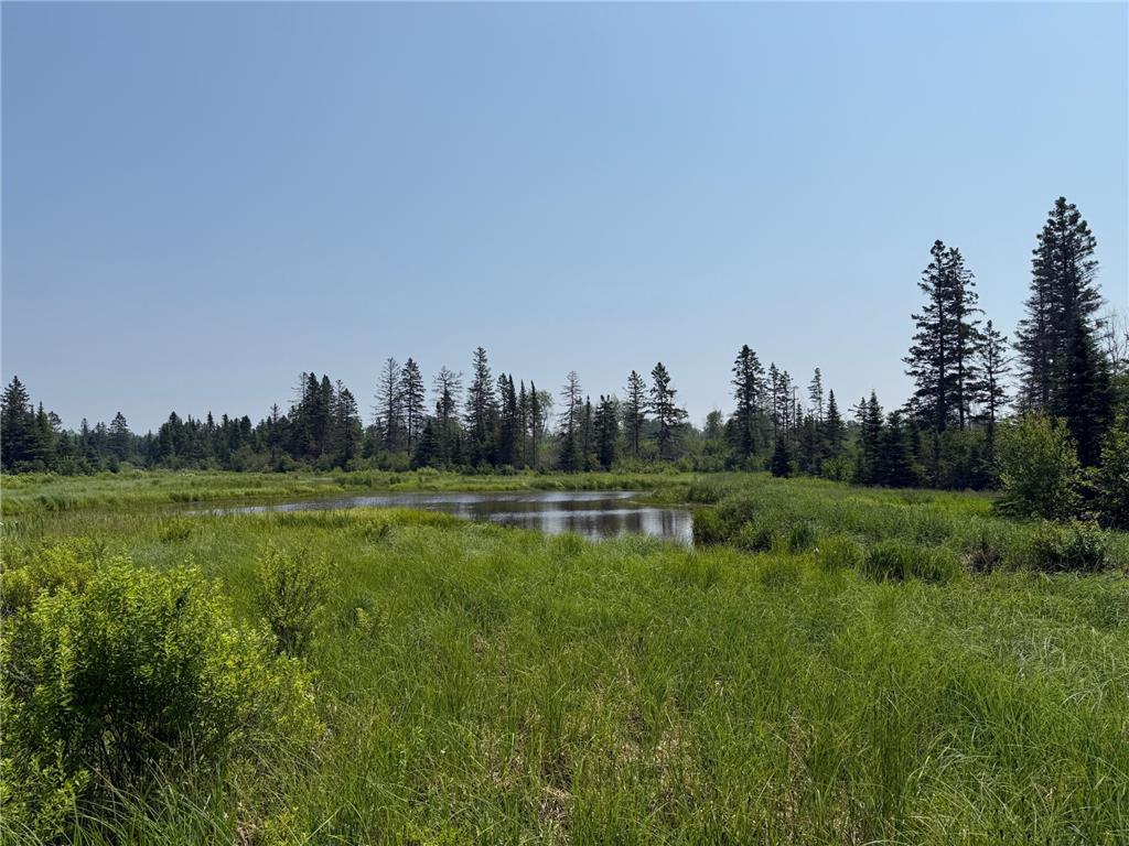 3437 Blueberry Hill Rd. Two Harbors MN 55616 6670887 image102