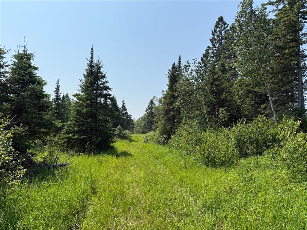 3437 Blueberry Hill Rd. Two Harbors MN 55616 6670887 image103